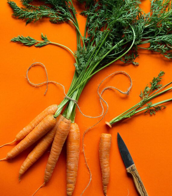 carrot carrot