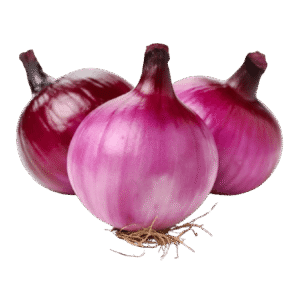 Onion