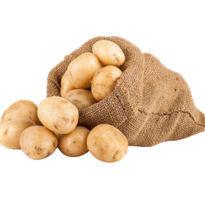 Potato