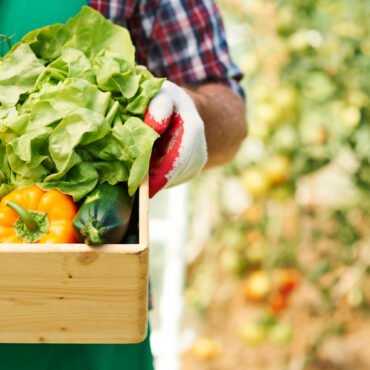 vegetables-cart